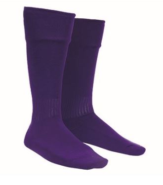 SOCKS PURPLE.JPG